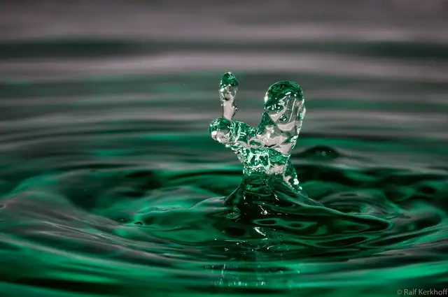 Blender